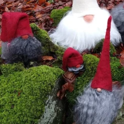 Asas Tomtebod Tomte Gnome - Little Sune (Red Cap)| Tomte Gnomes